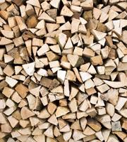Timber Logs Vlies Fotobehang 225x250cm 3-banen