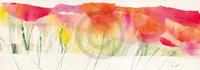 PGM Marta Peuckert - Poppy ribbon red Kunstdruk 100x35cm