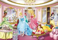 Komar Disney Princess Mirror Fototapete 368x254cm 8-teilig