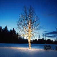 Markslöjd Lichtketting Chrissline extra 50 LEDs 2.850K