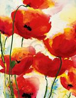 PGM Heidi Reil - Roter Mohn Kunstdruk 70x90cm
