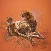 PGM Renato Casaro - Cheetah Mother Kunstdruk 50x50cm