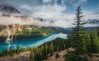 Komar Wonderland Canada Vlies Fotobehang 450x280cm 9-banen