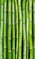 Dimex Bamboo Vlies Fotobehang 150x250cm 2-banen