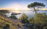 Komar Southern Light Vlies Fotobehang 400x250cm 4-banen