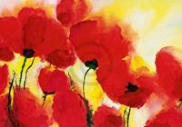 PGM Heidi Reil - Roter Mohn Toskana Kunstdruk 100x70cm