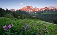 Komar Picturesque Switzerland Vlies Fotobehang 450x280cm 9-banen