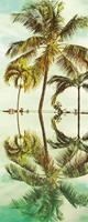 Komar Key West Vlies Fototapete 100x250cm 1-Bahn