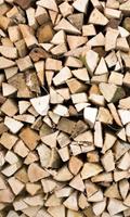 Timber Logs Vlies Fotobehang 150x250cm 2-banen