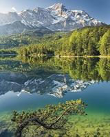 Komar Beautiful Germany Vlies Fototapete 200x250cm 2-Bahnen