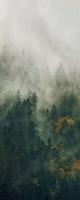 Komar Tales of the Carpathians Vlies Fototapete 100x250cm 1-Bahn