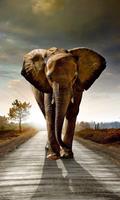 Dimex Walking Elephant Vlies Fotobehang 150x250cm 2-banen