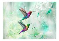 Colourful Hummingbirds Green Vlies Fotobehang 100x70cm