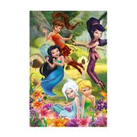 Expo XL Disney Fairies Flowers (B-768)