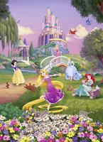 Disney Princess Sunset Fotobehang 184x254cm