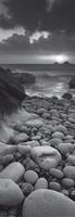 Helen Dixon - Rocky beach at sunset Kunstdruk 33x95cm