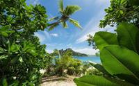 Komar Cast Away Jungle Vlies Fotobehang 450x280cm 9-banen