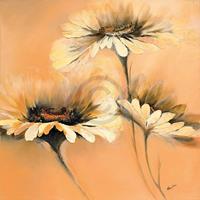 PGM Elena Filatov - Apricot Summer I Kunstdruk 70x70cm