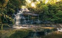 Komar Golden Falls Vlies Fotobehang 450x280cm 9-banen