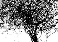 Komar Curls Fototapete 350x250cm 7-Bahnen