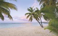 Komar Paradise Morning Vlies Fotobehang 400x250cm 4-banen
