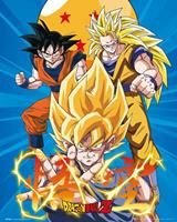 Dragon Ball Z 3 Gokus Poster 40x50cm