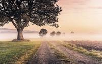 Komar Misty Morning Vlies Fototapete 400x250cm 4-Bahnen