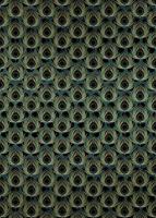 Komar Paon Vert Vlies Fotobehang 200x280cm 4-banen