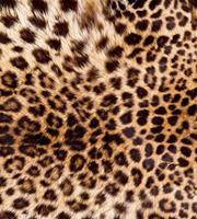Dimex Leopard Skin Vlies Fotobehang 225x250cm 3-banen