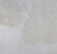 Komar Puro Vlies Fotobehang 300x280cm 3-banen