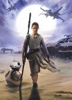 Komar Star Wars Rey Fotobehang 184x254cm