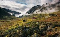 Komar Pure Norway Vlies Fotobehang 450x280cm 9-banen