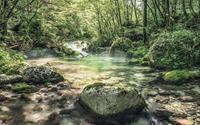Komar Tranquil Pool Vlies Fotobehang 400x250cm 4-banen