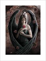 Anne Stokes Angel Rose Kunstdruk 60x80cm