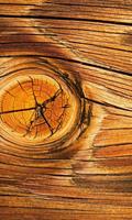 Dimex Wood knot Vlies Fotobehang 150x250cm 2-banen