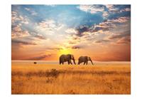 Artgeist Afrikaanse Savanne Olifanten Vlies Fotobehang 250x193cm