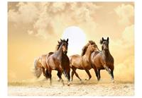 Artgeist Running Paarden Vlies Fotobehang 350x270cm