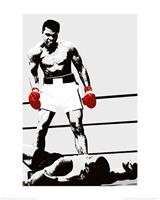 Muhammad Ali Gloves Kunstdruk 60x80cm