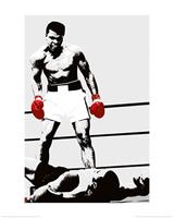 Pyramid Muhammad Ali Gloves Kunstdruck 60x80cm