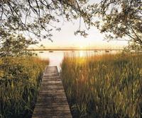 Komar Lakeside Vlies Fotobehang 300x250cm 3-banen