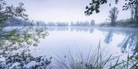 Komar Morning View Vlies Fototapete 200x100cm 1-Bahn