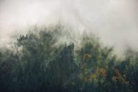 Komar Tales of the Carpathians Vlies Fototapete 300x200cm 3-Bahnen