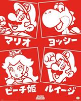 Super Mario Japanese Characters Poster 40x50cm