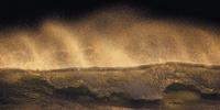Golden Wave Vlies Fotobehang 200x100cm 1-baan
