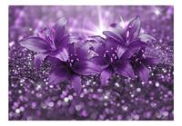 Masterpiece of Purple Vlies Fotobehang 100x70cm