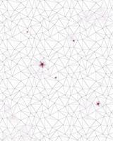Komar Cherry Blossom Vlies Fototapete 200x250cm 2-Bahnen