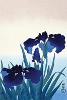 Ohara Koson Iris Flowers Poster 61x91,5cm