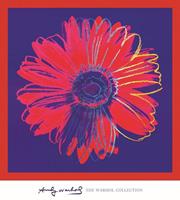 PGM Andy Warhol - Daisy 1982 Kunstdruk 90x90cm