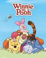 Winnie the Pooh Characters Poster 40x50cm