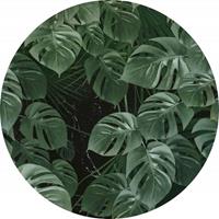 Komar Novel Monstera Vlies Fotobehang 125x125cm rond